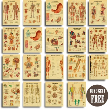 Anatomi ve Fizyoloji Vücut Yapısı Posteri İskelet Retro Kraft Kağıt Etiket Vintage Odası Tıbbi duvar süsü duvar tablosu
