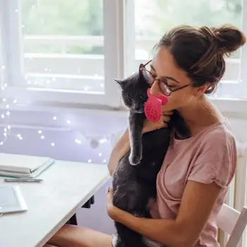 Dil Kedi Fırça Scratcher Pet Saç Çıkarıcı Fırça Masaj Fırçası Küçük Köpek İçin Evcil Hayvan Malzemeleri