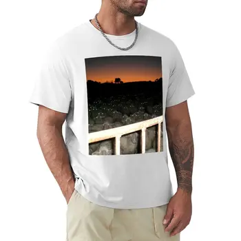 Geceleri koyunlar Korkunç Bakmak-Lanetli Görüntü # 0001 T-Shirt erkek beyazlar siyah t-shirt erkekler için