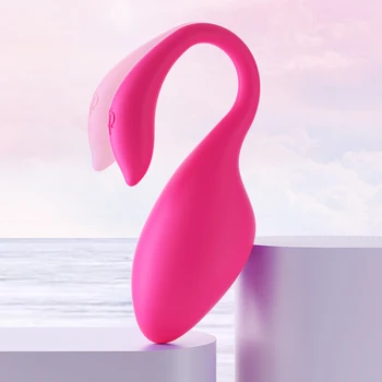 Kadın Yetişkin Mastürbasyon Seks Oyuncakları Flamingo mobil uygulama Site Dışı Uzaktan Kumanda Erotik Vibratör Kadın Giyim Klitoral Stimülatörü