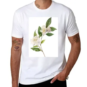 Yeni Kamelya Çiçekli Botanik T-Shirt kazak gömlek anime giyim grafik t shirt t shirt erkekler için pamuk